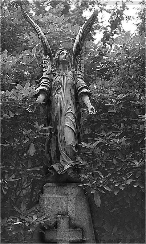 Friedhof Ohlsdorf Angel Statues Cemetary Statue Gothic Angel