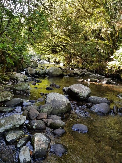 Pin By Heather Staal On Waikato Hiking Adventures Day Trips