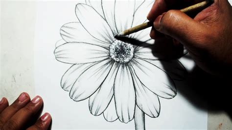 Easy Rose Flower Drawings In Pencil