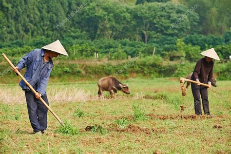 Chinese Agricultural Farm Workers — Stock Photo © Kalinovsky 30977027