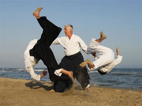 8 Self Defense Martial Arts Disciplines Martial Arts Aikido