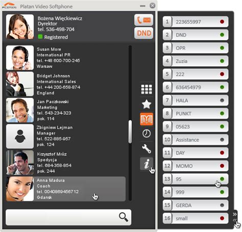 Platan Platan Video Softphone Video Calls In Platan Pbx Systems