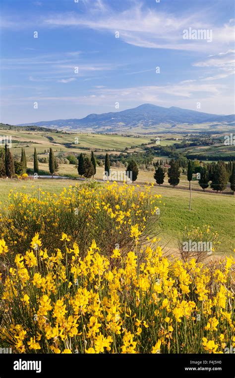 Tuscan Landscape With Monte Amiata Near Pienza Val Dorcia Orcia