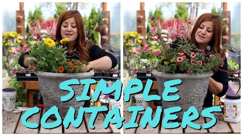 Flower Alley Experiment Simple Container Ideas For Full Sun ☀️🌿🙌
