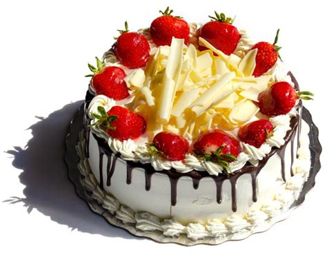 Who said cake had to look like cake? The Italian Bakery in Barrie, by Vincenzo & Maria Fuda