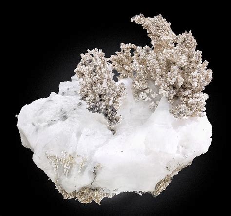 Fine Crystalline Dendrites Of Native Silver On White