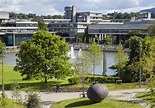 University College Dublin - Soho UK Education | İrlanda'da Eğitim