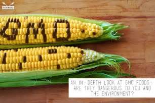 An In Depth Look At Gmo Foods Are They Dangerous