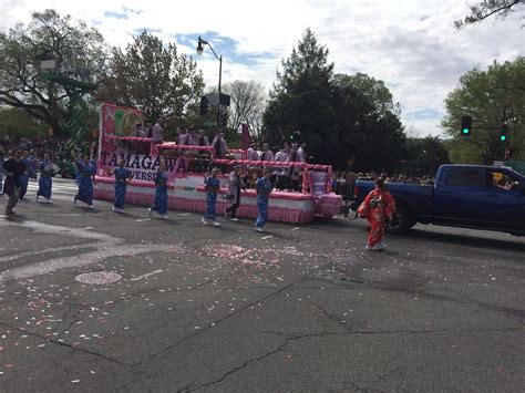 Photos National Cherry Blossom Parade Brings Spectators Across Dc