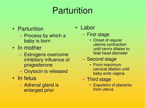 Ppt Fertilization Pregnancy Nd Lactation Powerpoint Presentation Free Download Id1299392