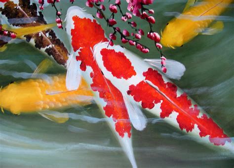 Koi Fish Fishes World Hd Images And Free Photos