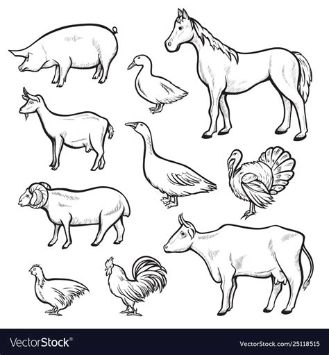 Farm Animal Drawing Set Domestic And Agriculture Vector Image
