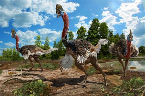 A Unique Dinosaur That Looks A Lot Like A Giant Turkey Has Been Discovered In China