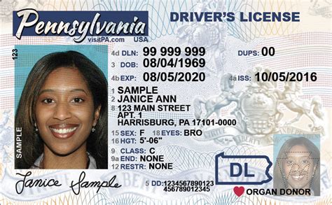 How To Get Your Pennsylvania Drivers License Requirements For 2024