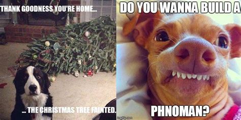 Funny Dog Christmas Memes