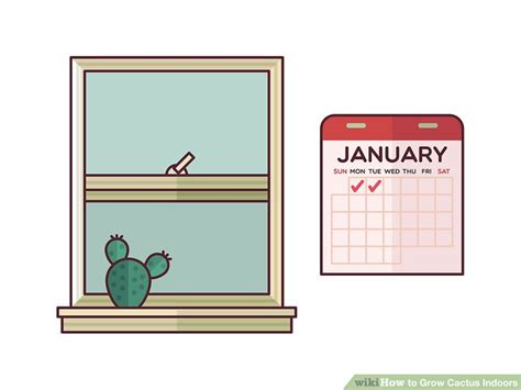 Forest cacti grow in wooded areas, ranging from temperate forests to subtropical and tropical regions. How to Grow Cactus Indoors (with Pictures) - wikiHow