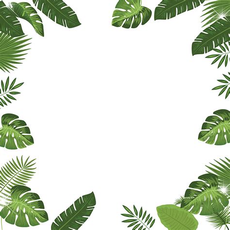 Tropical Leaf Frame Png Vector Psd And Clipart With Transparent