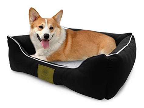 7 Best Heated Dog Beds 2021 Reviews Buying Guide And Safe Options
