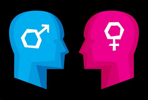 Are Male And Female Brains Really Different
