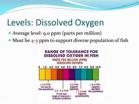 Dissolved Oxygen In Water Its Importance And The Epa S Standards