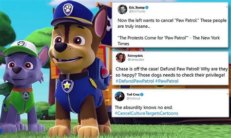 Twitter Users Call For The Cancellation Of Cartoon Paw Patrol Current