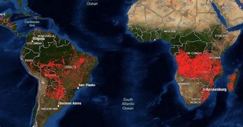 En Afrique Le Deuxième Poumon Vert De La Planète Est Aussi En Train De Brûler