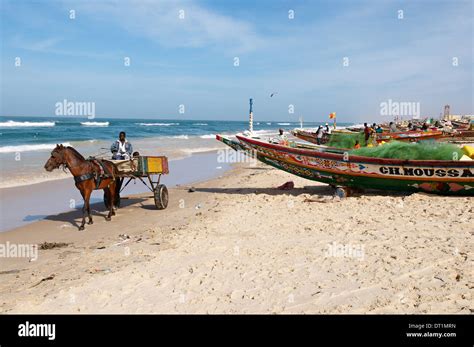 Fishing Boats On The Beach City Of Saint Louis Senegal West Africa