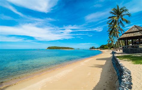 Wallpaper Sand Sea Beach Summer The Sky The Sun Palm Trees Shore