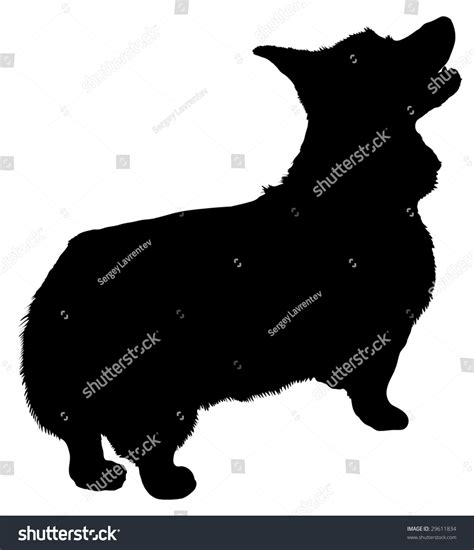Silhouette Of A Dog Of Breed Welsh Corgi Stock Vector Illustration