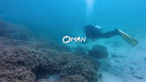 Diving In Oman Youtube