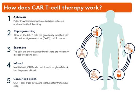 Car T Cell Therapy A New Treatment To Fight Cancer Discover Yourself
