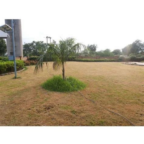 Commercial Landscaping Development Services At Rs 200square Feet In