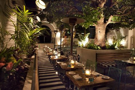 Lights Under The Tree In Back Corner Of Pool Area Restaurant Patio