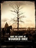 Bury My Heart at Wounded Knee (TV Movie 2007) - IMDb