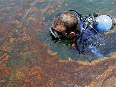 Oil Spill 100 Days 100 Photos Cbs News