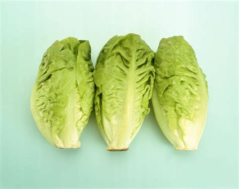 Lettuce Varieties 16 Types Of Lettuce