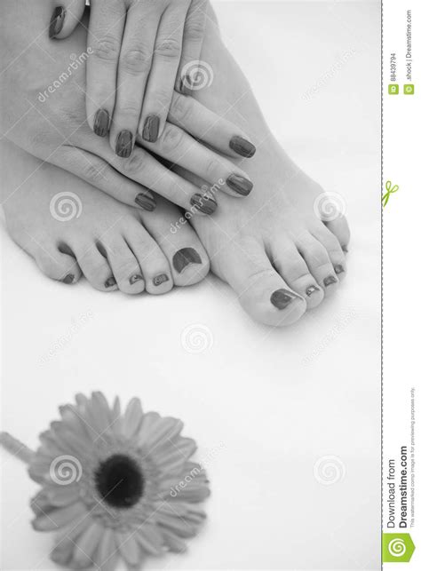 Female Feet And Hands At Spa Salon Stock Photo Image Of Body
