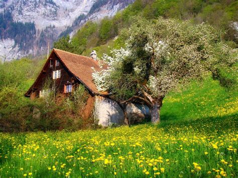 1600x1200 Photography Nature Landscape Cottage Flowers Spring Mountains