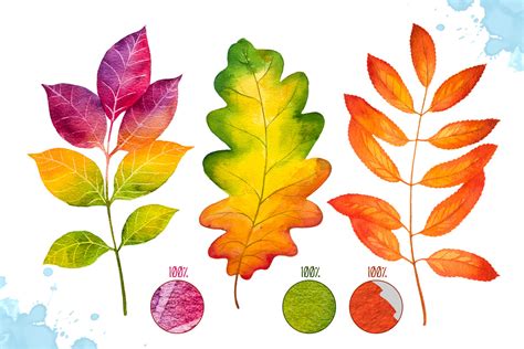 Watercolor Autumn Leaves On Behance