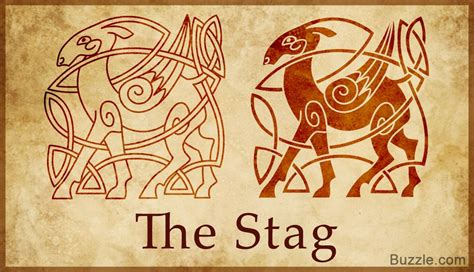 The Stag Is The Most Famous Symbol Of Celtic Warrior It Is Associated