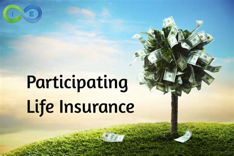 The premiums for both the level term life insurance policy and the straight whole life insurance are calculated at the time of policy issue and remain level throughout the term of the policies. Participating Life Insurance Guide to Finding the Best Policy for You