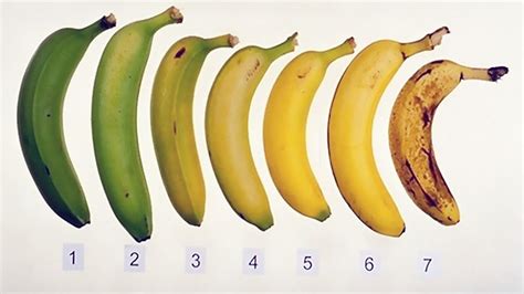 A Ripe Banana Is Very Good For Health Heres Why Youtube