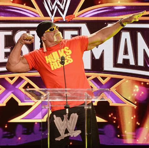 Hulk Hogan Racist Remarks Wwe Legend Fired Rumors Swirl Wrestler