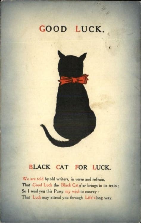 ~rodney dangerfield~ i have no plants in my house. A Black Cat Good Luck Postcard From 1910 - Lucky Ferals