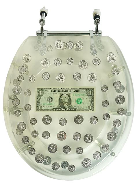 Coin Toilet Seat Filled With Money Fun And Special Toilet Decorations