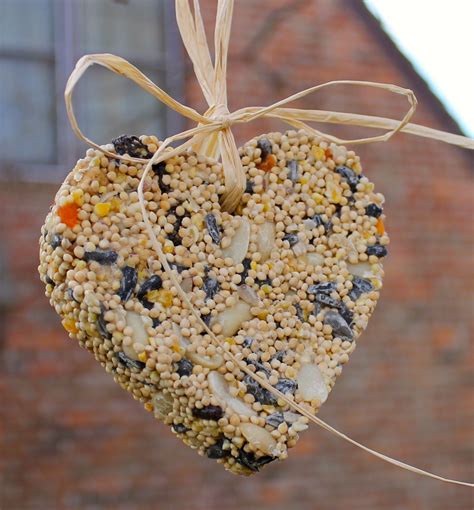Bird Seed Ornaments Without Or With Gelatin Bird Seed Ornaments