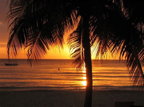 Free Images Beach Light Sunrise Sunset Night Palm Tree Sunlight