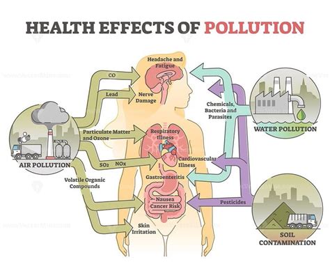 Health Effects Of Pollution As Body Hazard From Urban Danger Outline