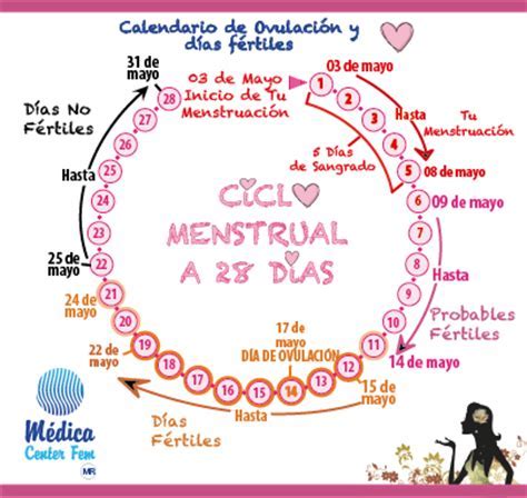 Calculadora Periodo Menstrual Seonegativo Hot Sex Picture
