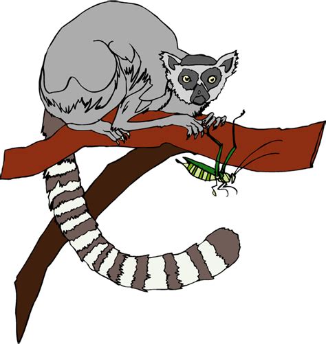 Free Lemur Cliparts Download Free Lemur Cliparts Png Images Free